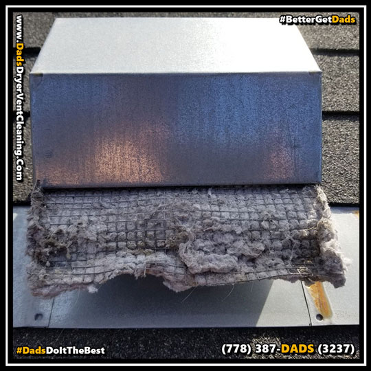 Image Displaying a Dirty Clogged Plugged Rooftop Dryer Vent Cover with Mesh in Newton, B.C