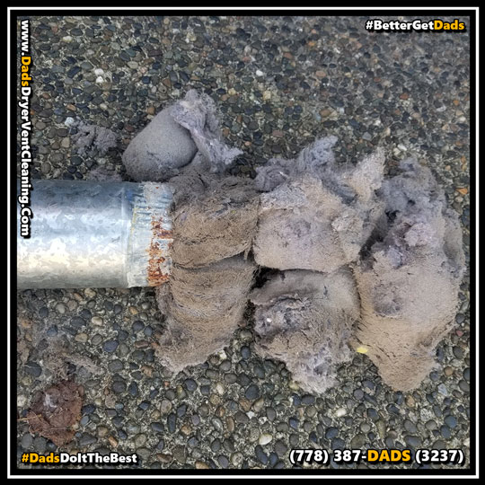 Dryer Vent Cleaning Questions Surrey Delta Langley Abbotsford